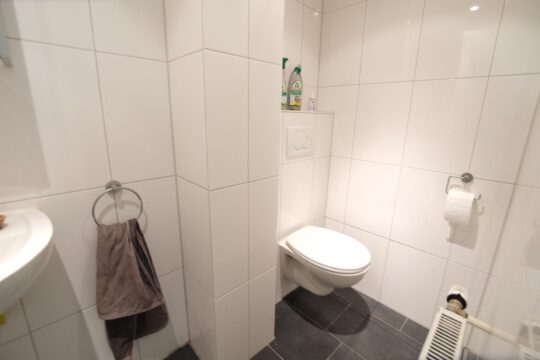 WC mit Handwaschbecken
