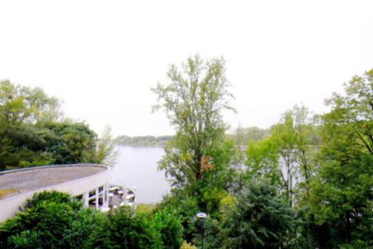 direkter Rheinblick