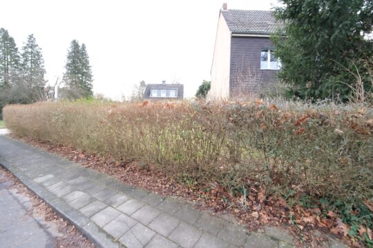 Ansicht von der Straße