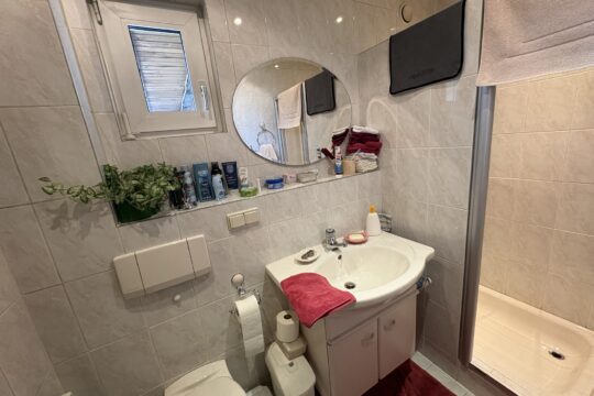 Badezimmer mit Dusche (EG)