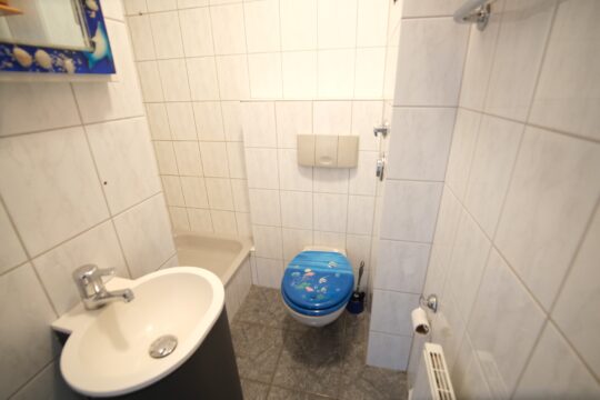 Gäste-WC mit Dusche