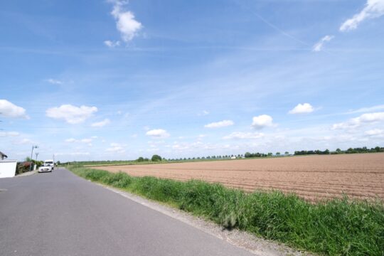 Umgebung